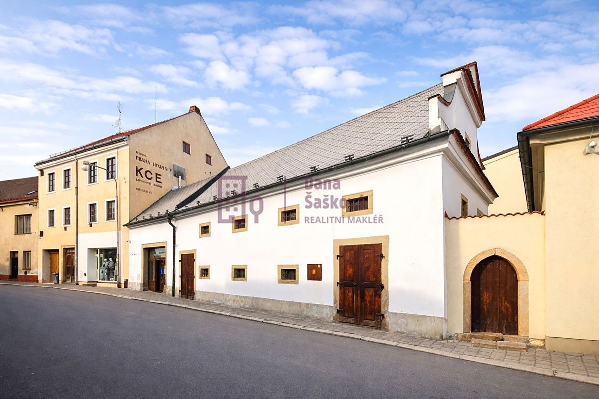 Prodej obchodního prostoru 320 m² – fotografie 3