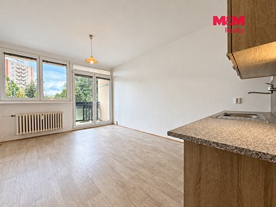Wohnung 1+kk zum Kauf, 21 m² (3 von 10)