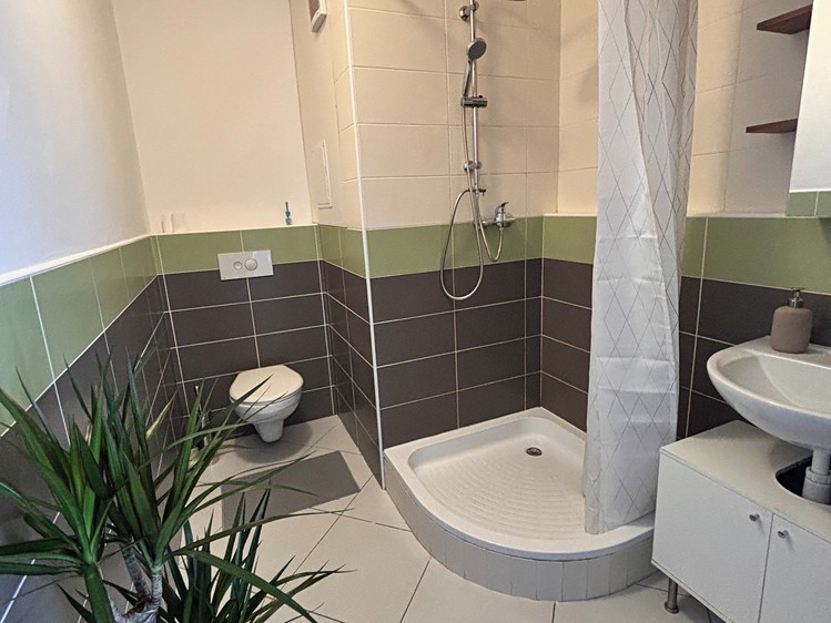 Pronájem bytu 2+kk, 37 m² (10 z 15)