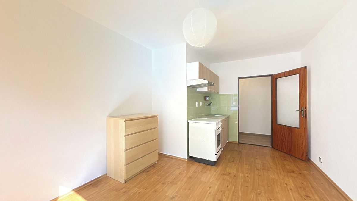 Pronájem bytu 1+kk 24 m² – fotografie 3