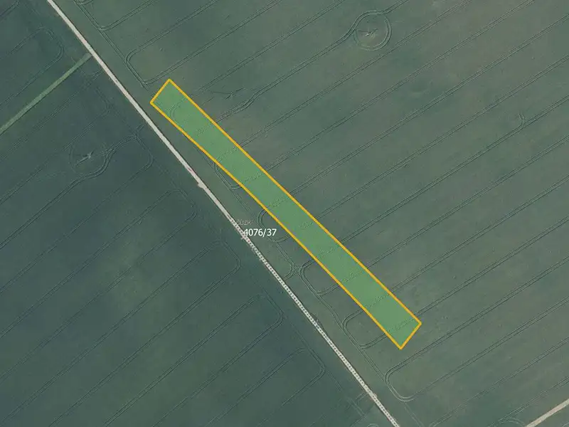 Prodej pole 5594 m², Moravská Nová Ves – náhled fotky 1