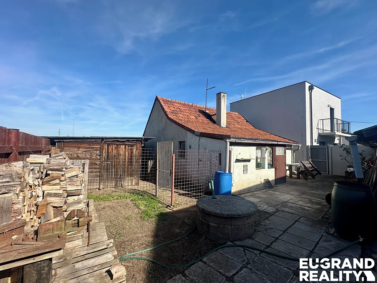 Fotka 5 z 17