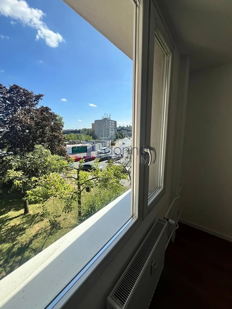 Fotka 12 z 12