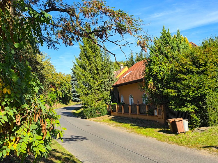 Haus zum Kauf, 250 m² (38 von 54)