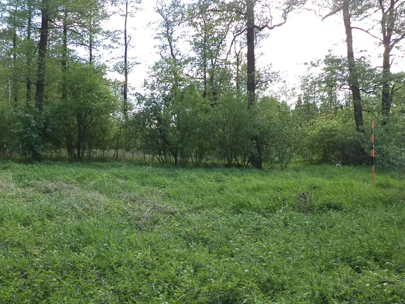 Dražba louky 1844 m², Dětmarovice – náhled fotky 3