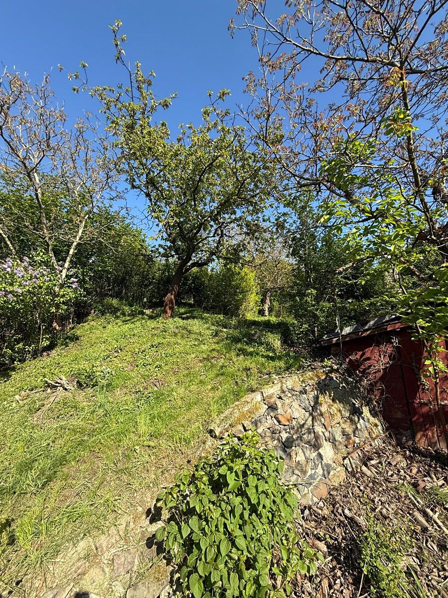 Prodej stavebního pozemku 1537 m² – fotografie 5