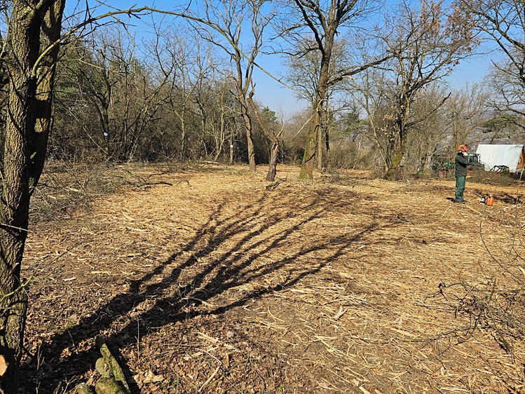 Grundstück zum Kauf, 5.128 m² (1 von 3)
