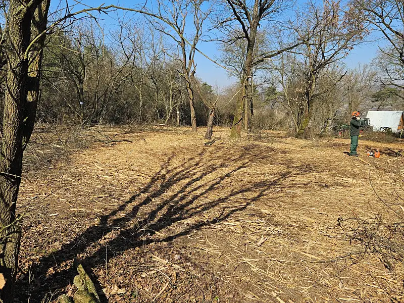 Prodej sadu, vinice 5128 m², Zadní Třebaň – náhled fotky 1