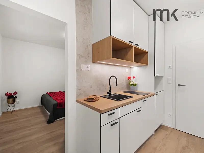 Pronájem bytu 1+1 31 m², Praha – náhled fotky 3