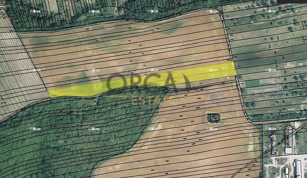 Prodej pole 5796 m², Syrovín – fotka 1 z 3