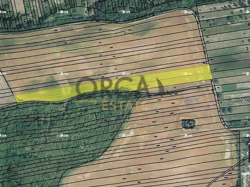 Prodej pole 5796 m², Syrovín – náhled fotky 1