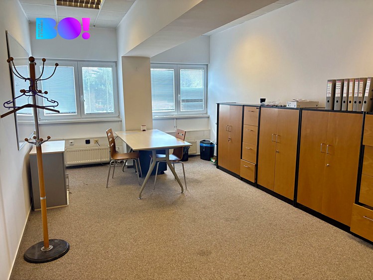 Pronájem komerčního prostoru, 960 m² (4 z 14)