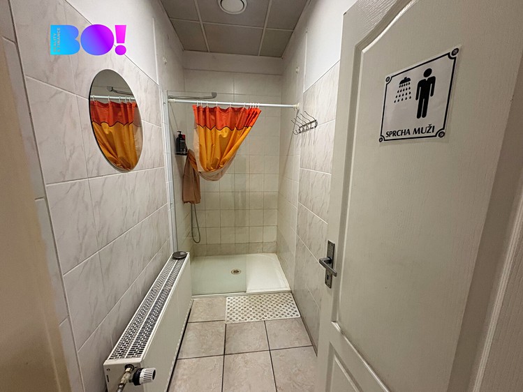 Pronájem komerčního prostoru, 960 m² (8 z 14)