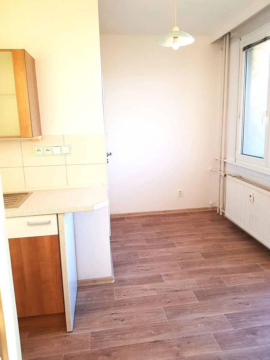 Pronájem bytu 1+1 43 m² – fotografie 5