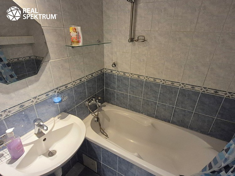Pronájem bytu 2+1, 54 m² (10 z 12)