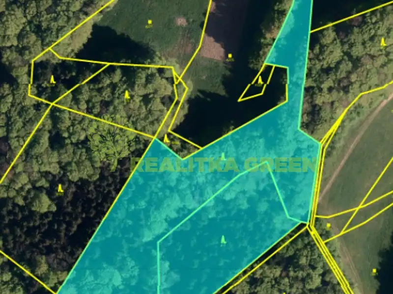 Prodej lesa 14279 m², Pozděchov – náhled fotky 2
