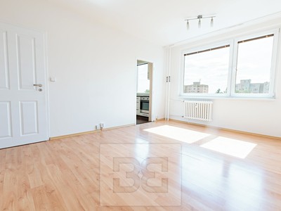 Pronájem bytu 1+kk 29 m²