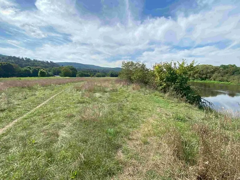 Dražba louky 601 m², Všenory – náhled fotky 1
