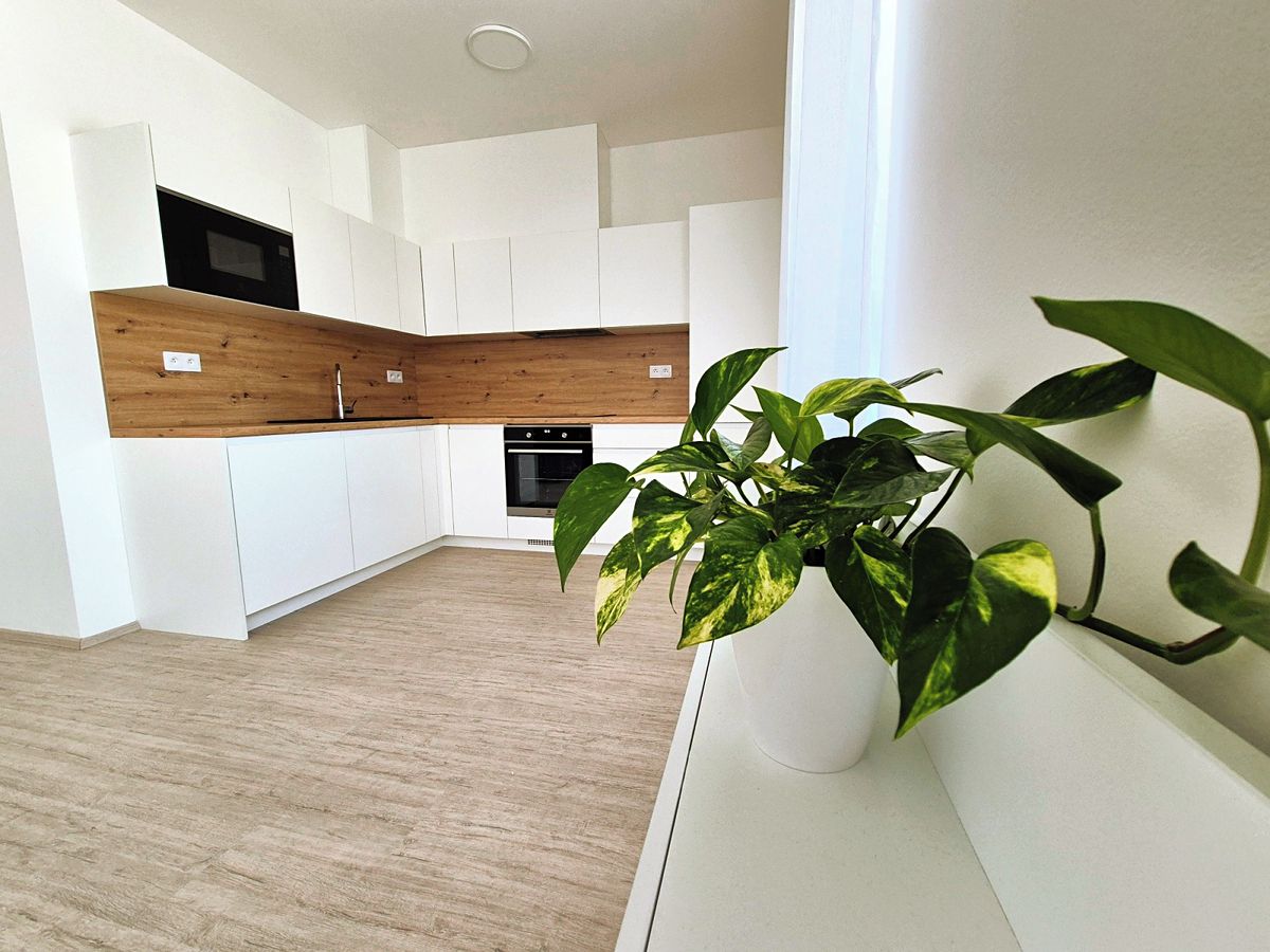 Pronájem bytu 1+kk 37 m²