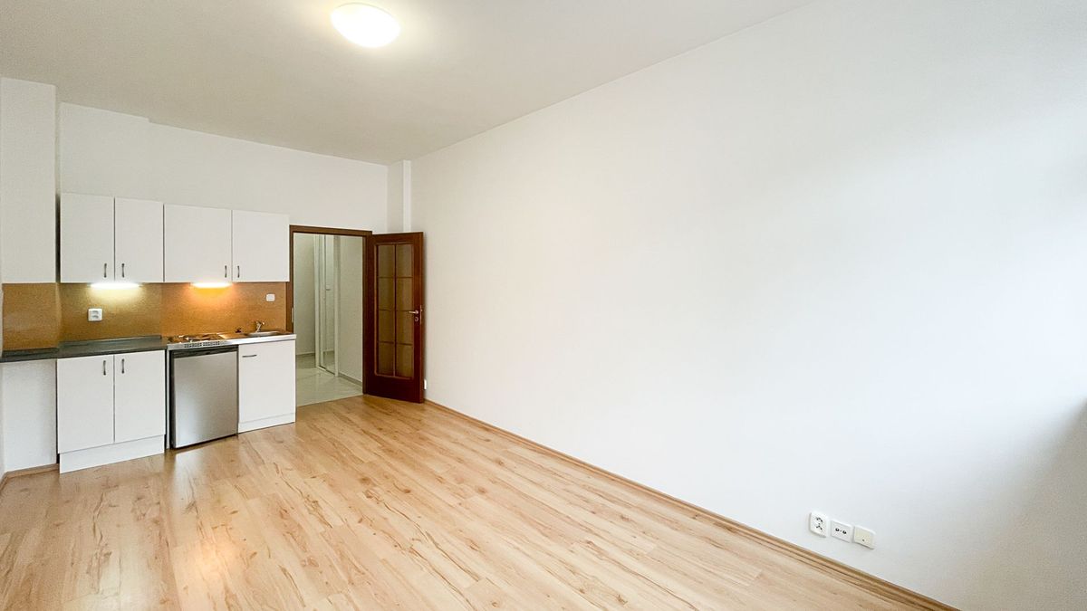 Pronájem bytu 1+kk 25 m² – fotografie 3