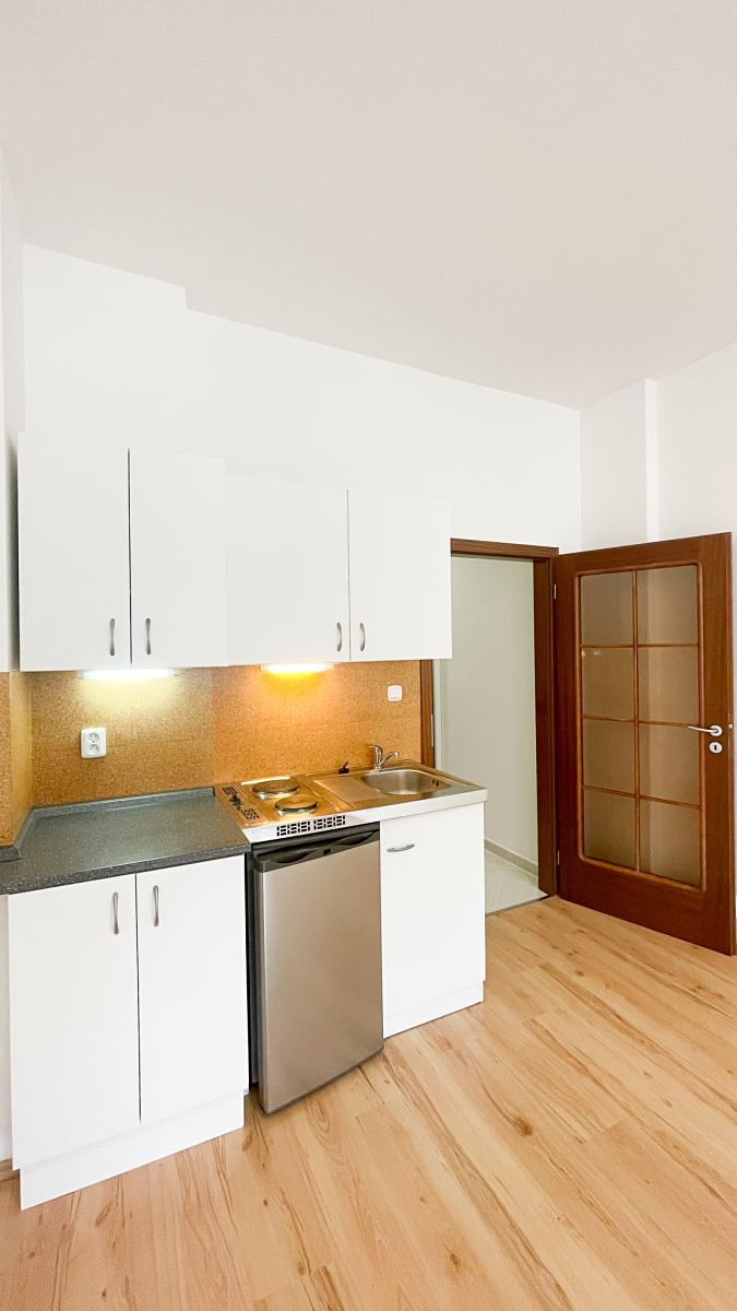 Pronájem bytu 1+kk 25 m² – fotografie 4