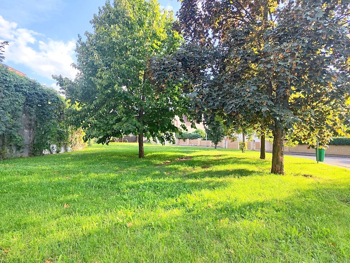 Prodej rodinného domu 296 m², pozemek 727 m² – fotografie 5