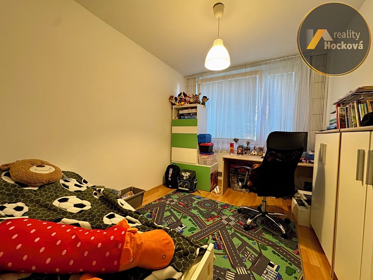 Prodej bytu 3+1, 67 m² (11 z 19)