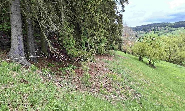 Grundstück zum Kauf, 11.646 m² (2 von 6)