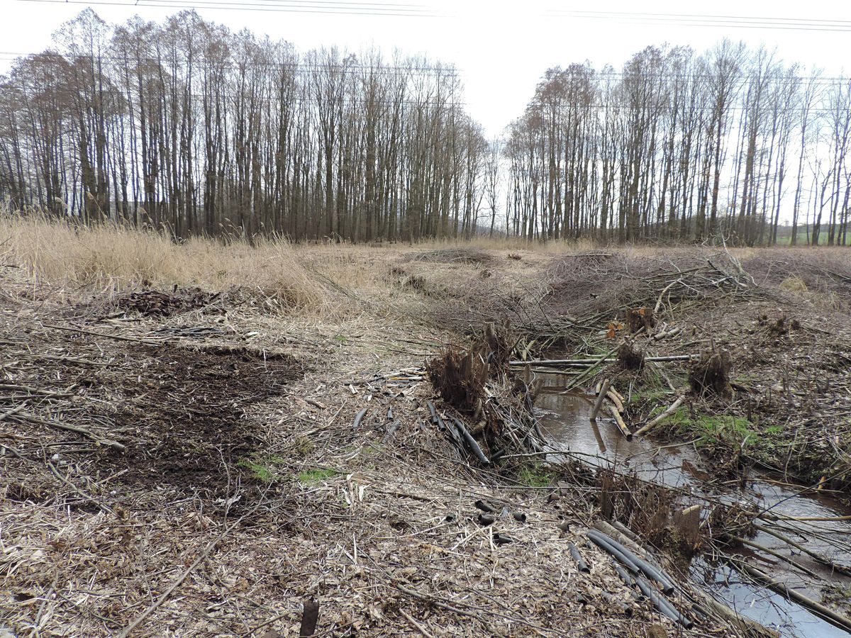Prodej rybníku (vodní plochy) 486 m² – fotografie 2