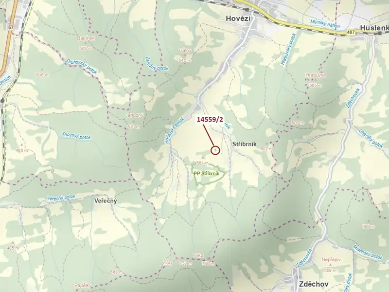 Dražba lesa 605 m², Hovězí – náhled fotky 1