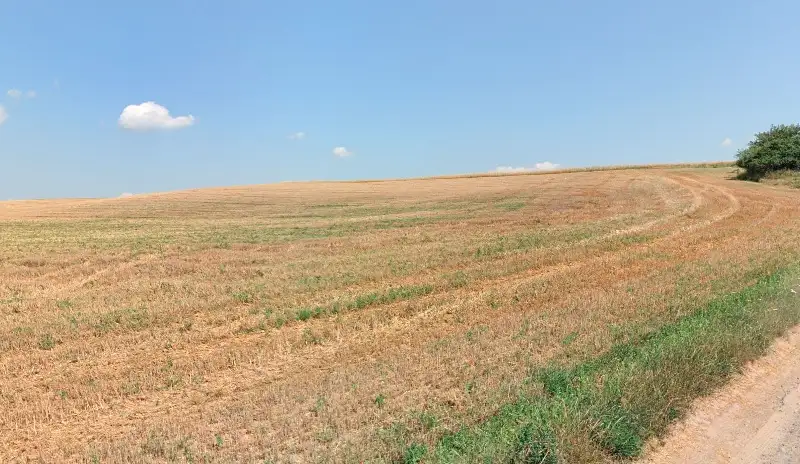 Prodej pole 22731 m², Mělník – náhled fotky 2
