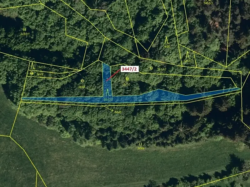Dražba lesa 550 m², Hovězí – náhled fotky 2