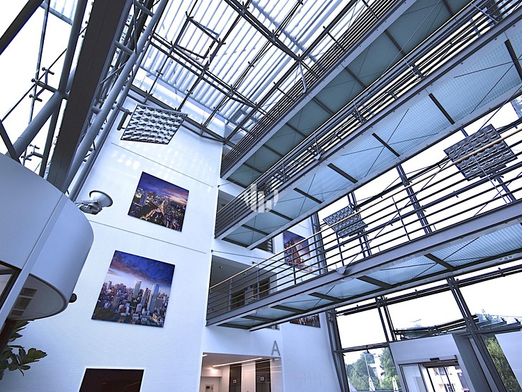 Gewerbefläche zur Miete, 281 m² (8 von 10)