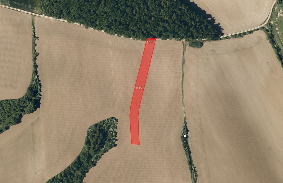 Prodej pole 12129 m² – fotografie 3