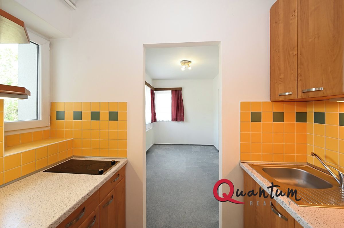 Pronájem bytu 1+kk 26 m²
