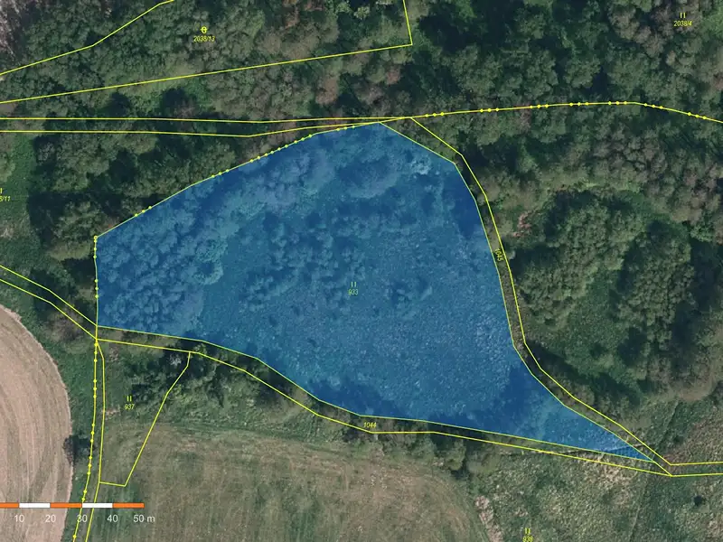 Prodej louky 9422 m², Velké Heraltice – náhled fotky 3