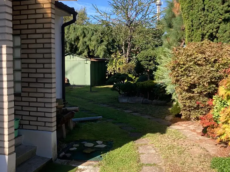 Prodej rodinného domu 60 m², pozemek 361 m², Dvůr Králové nad Labem – náhled fotky 3