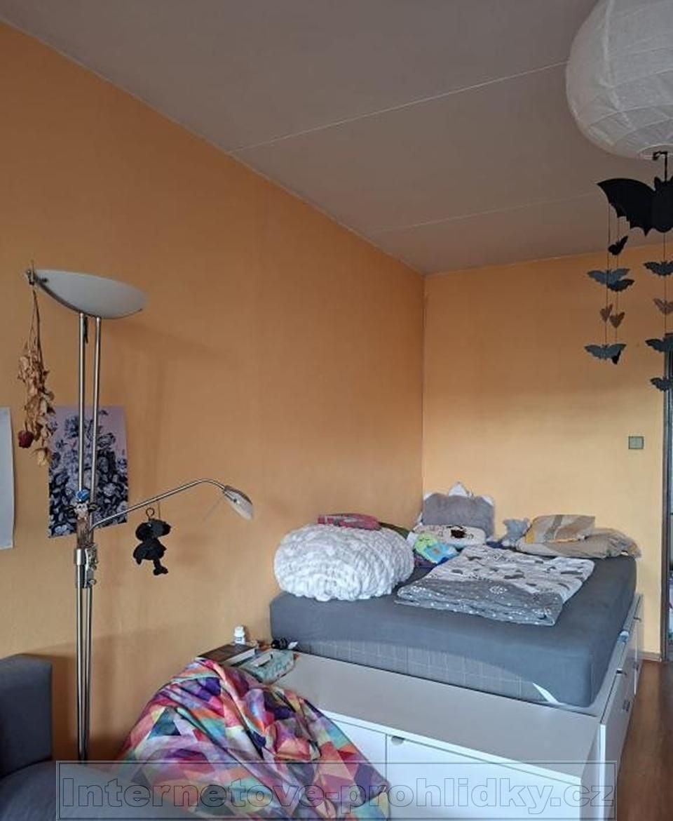 Pronájem bytu pokoje 20 m² – fotografie 3