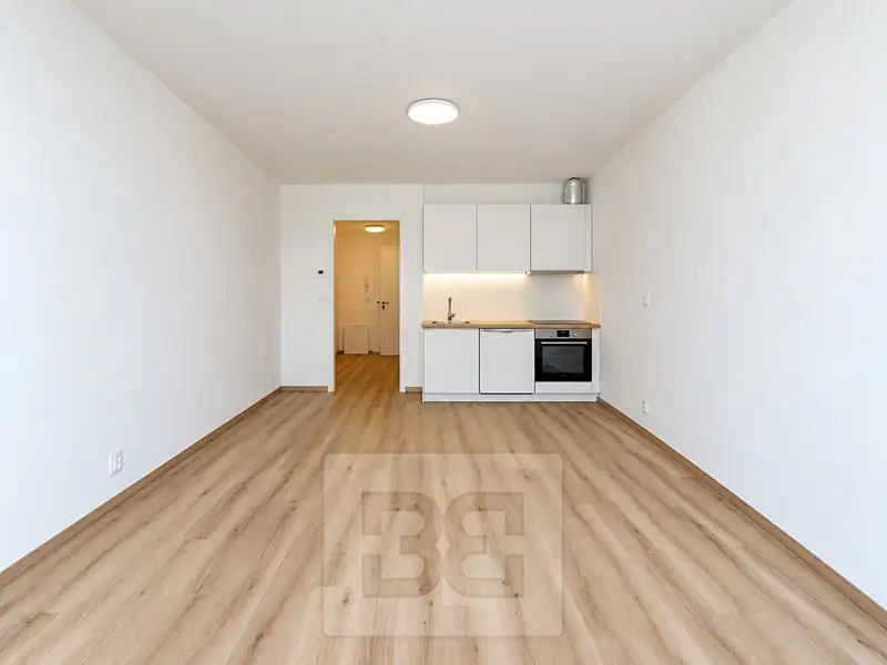 Pronájem bytu 1+kk 35 m², Brno – náhled fotky 1