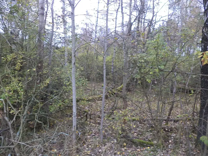 Prodej stavebního pozemku 2388 m², Rozvadov – náhled fotky 3