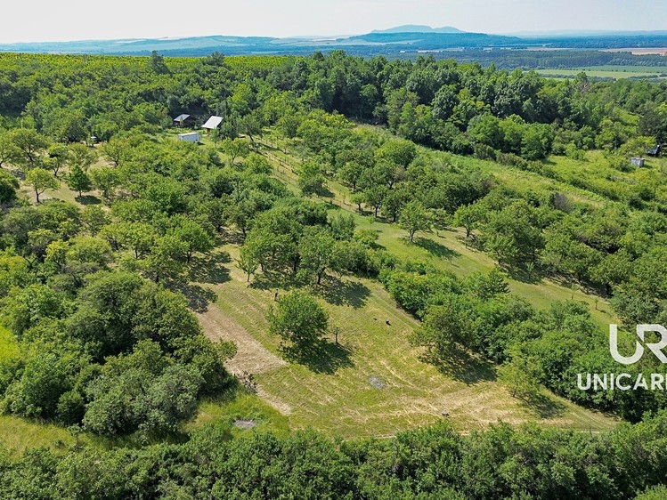 Prodej pozemku, 3 851 m² (6 z 15)
