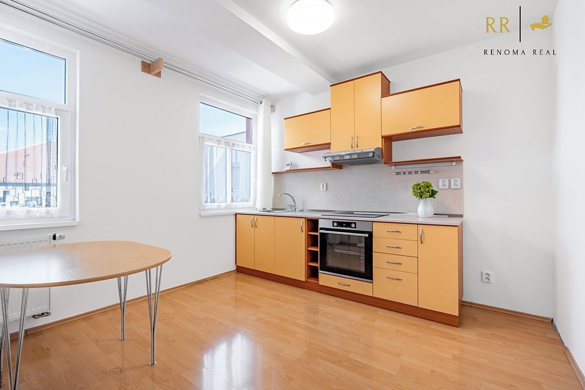 Pronájem bytu 1+1 45 m² – fotografie 4