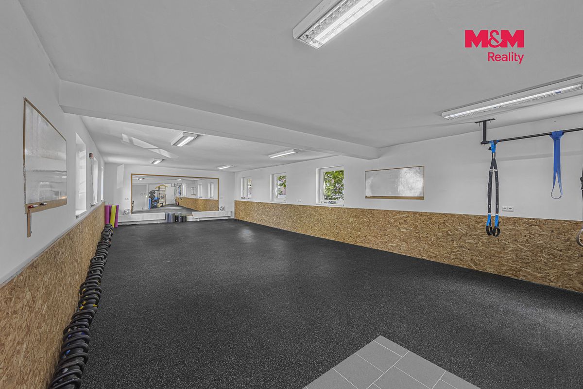 Prodej obchodního prostoru 195 m² – fotografie 2