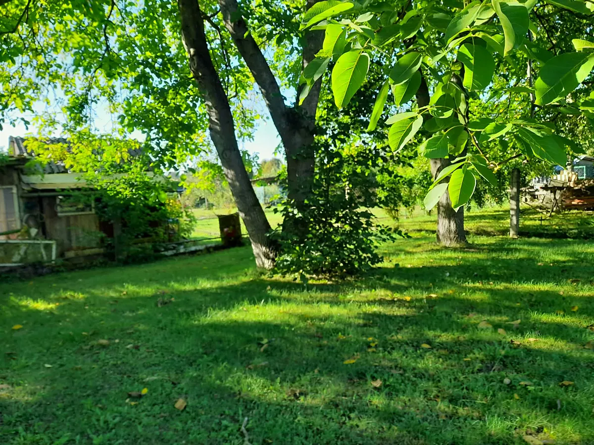 Fotka 12 z 12