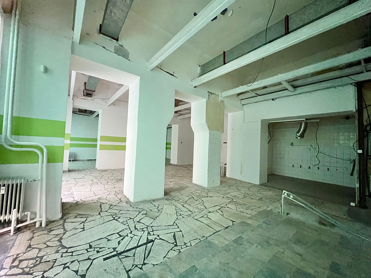 Pronájem obchodního prostoru 270 m² – fotografie 3