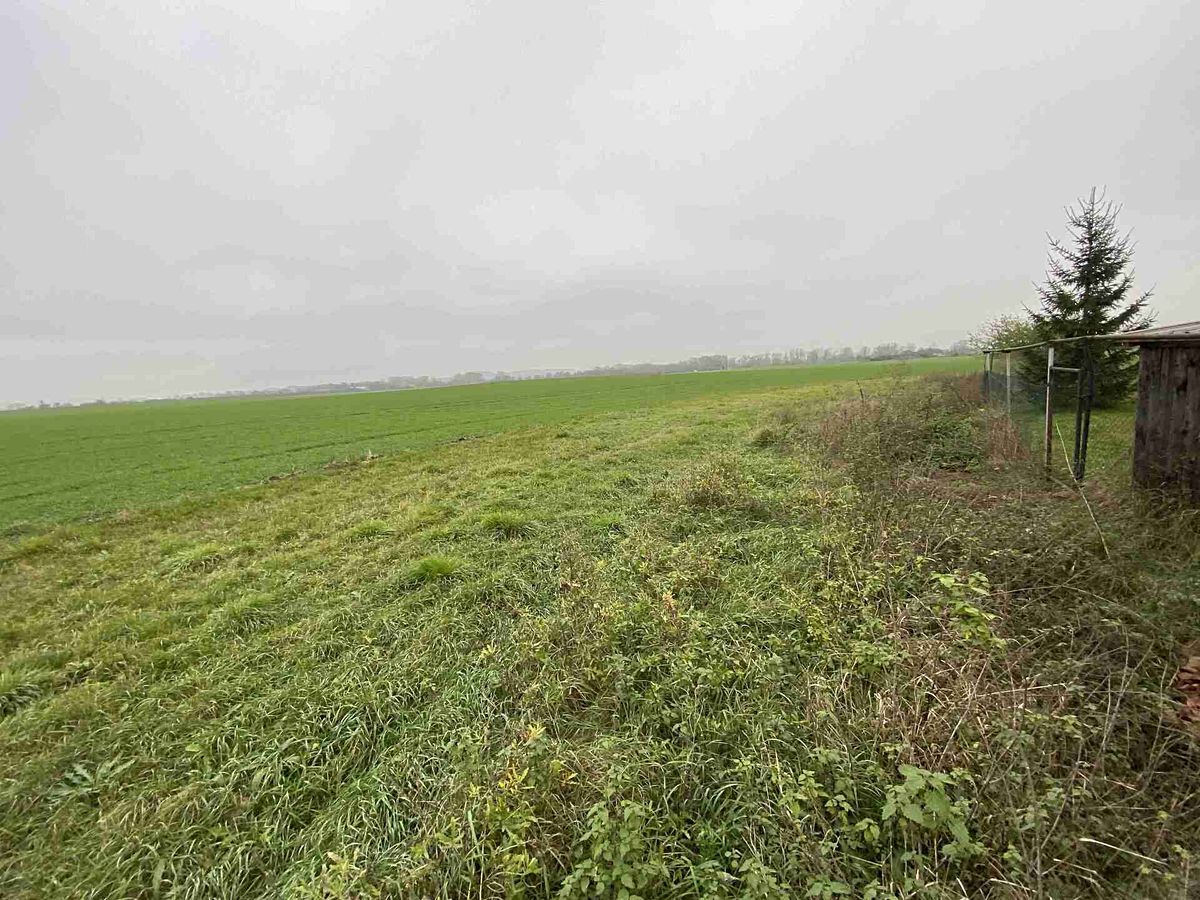 Prodej pozemku 1293 m² – fotografie 2