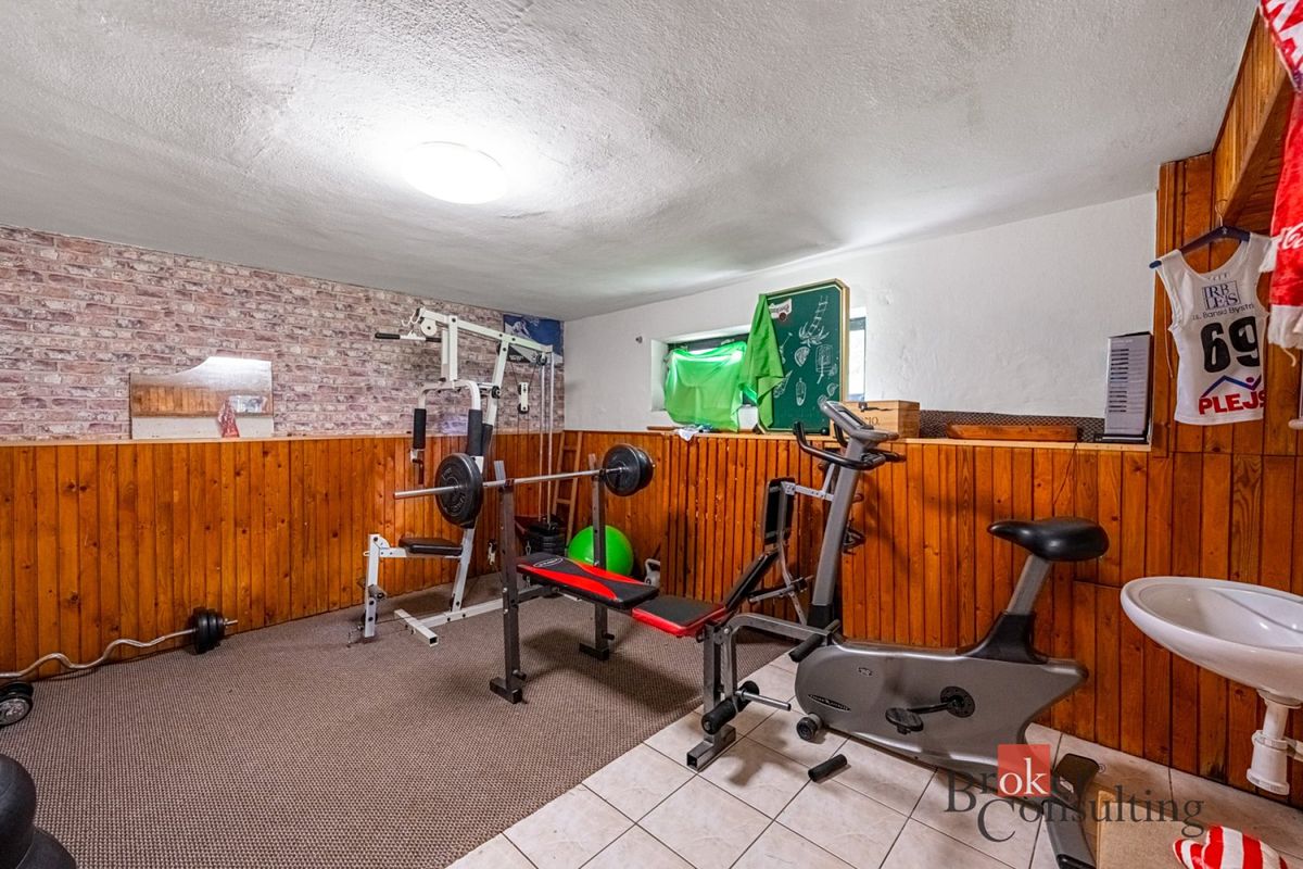 Prodej rodinného domu 487 m², pozemek 1514 m² – fotografie 5