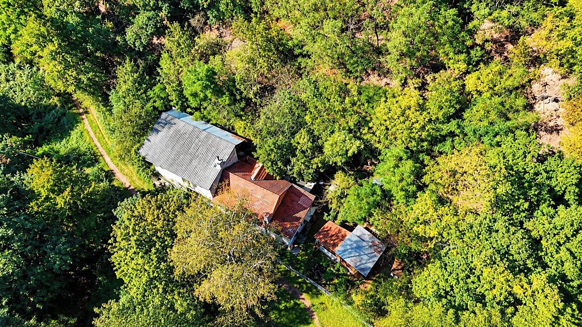 Prodej rodinného domu 94 m², pozemek 293 m² – fotografie 4
