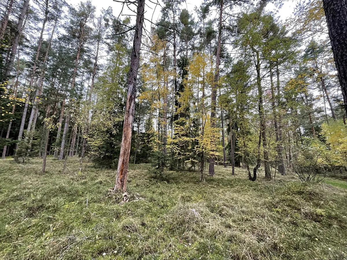 Fotka 10 z 17