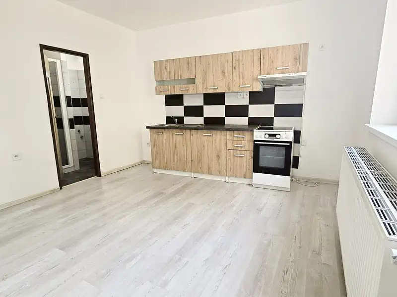 Pronájem bytu 1+1 50 m², Hostomice – náhled fotky 2